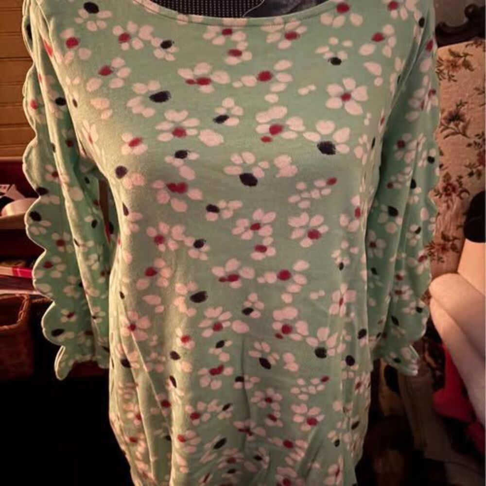 NWOT Kim Rogers Size Petite Small Women’s Blouse Sleeves 38”Bust 24” L